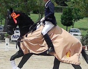 Juan Francisco Fernandez Munoz and Firmamento win the 2011 Spanish Young Horse Championships in Almeria