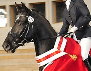 Melanie Hofmann on Delioh von Buchmatt at the 2011 Swiss Stallion Licensing :: Photo © Elisabeth Weiland