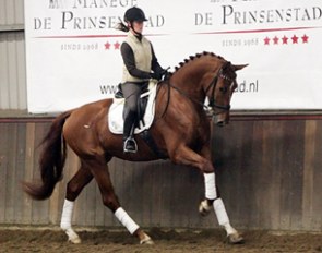 Vienna Romp and Darshan at the 2011 VWF Dressage Cup :: Photo © Stephanie van Houten