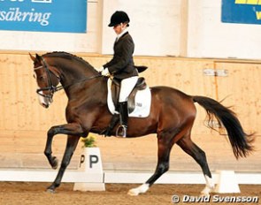 Pernilla Andre-Hokfelt on Christo at the 2011 Swedish Young Horse Championships :: Photo © David Svensson