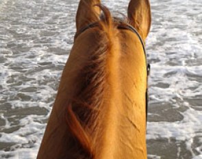 Luis Principe takes his Grand Prix Washington out for a nice hack on the beach and in the dunes