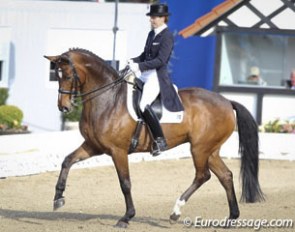 Susan Pape and Cayenne W in the national Louisdor Cup qualifier at the 2011 CDI hagen :: Photo © Astrid Appels