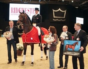 Blue Hors Romanov proclaimed Stallion of the Year 2011 at the Danish Stallion Licensing :: Photo © Ridehesten.com