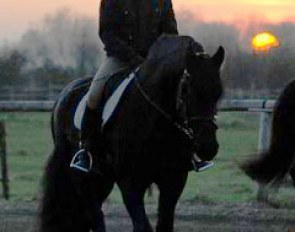 Barbara Schnell's other Friesian Talisker in the sunset
