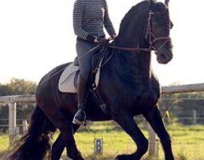 Carla Bauchmüller, riding instructor, yoga teacher and Sally Swift student taught much sought-after clinics in Reken. Sshe asked Barbara if she could ride her Friesian Apollo before she traveled to the U.S. to build a new life there.