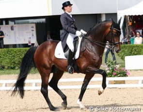 Stephanie Brieussel-Collier on Werner at the 2010 CDIO Saumur :: Photo © Silke Rottermann