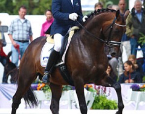Serge Cantin and Grand Passion at the 2011 World Young Horse Championships :: Photo © Astrid Appels