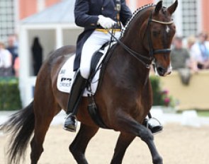 Hubertus Schmidt and Valentino G at the 2011 CDI Wiesbaden :: Photo © Astrid Appels