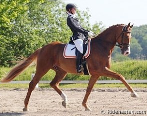 Carina Reslow Krüth and Robinho at the Danish WCYH selection trial in Aabenra :: Photo © Ridehesten.com