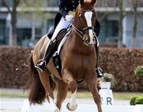 Anabel Balkenhol and Dablino at the late entry 2012 CDN Aachen :: Photo © Andrea Wolters