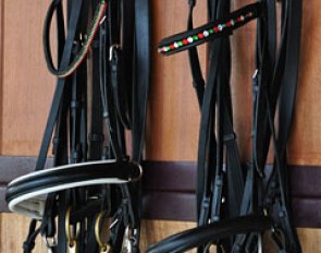 Bridles with Italian coloured browbands