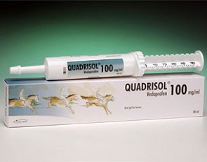 Quadrisol pain relief for horses is based on vedaprofen