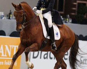 Laila Smits made a successful transition from ponies to horses with Phoenix, a spitting image of his sire Jazz