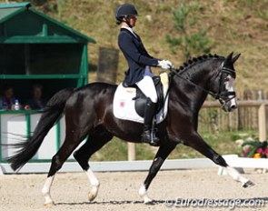 Luxembourg Fabienne Claeys and the Dutch bred stallion Domino (by Domingo x Navajo II)