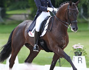 Danielle Houtvast and Rambo at the 2012 European Young Riders Championships in Berne, Switzerland :: Photo © Astrid Appels