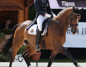 Jorinde Verwimp and Tiamo (by Lester x Hemmingway) are the second Belgian pair to qualify for the Kur by scoring 69%+