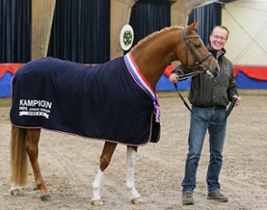 2012 NRPS Pony Licensing Champion Empire :: Photo © NRPS.nl