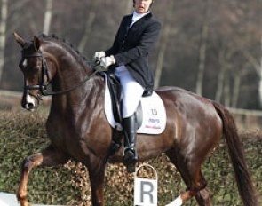 Karen Galema on the attractive liver chestnut mare Cadassa (by Johnson x Negro). The mare was all over the place, very unruly in the contact. The trot was quite hackney-like with more lift than stretch, but Cadassa is a talented star for the future!