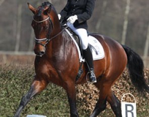 Eva Möller and KWPN Licensing Champion Bordeaux at the Wild Card Day in Ermelo :: Photo © Astrid Appels