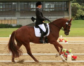 Karen Anderson and Don Qudos win the 2012 New Zealand Young Horse Championships