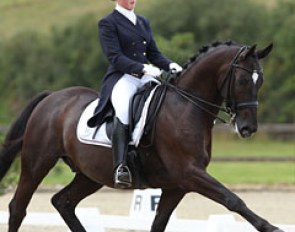 Dutch young rider Stephanie Jensen on the Danish warmblood Heartbreaker, yet another amazingly rideable Hertug offspring.