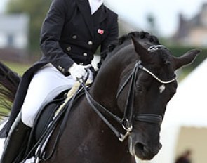 Danish Rikke Svane on her own Trakehner stallion Finckenstein (by Latimer x Kennedy x Marduc)