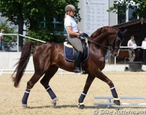 Hayley Beresford schooling Belissimo M (by Beltain x Romadour II)