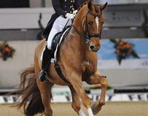 Sanneke Rothenberger on her third young riders' horse Wembley