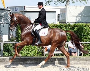 Heiner Schiergen and Discovery at the 2012 CDN Neuss-Grefrath :: Photo © Andrea Wolters 
