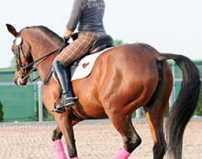 Sylwia Syguda-Heinrich schooling Doktryna. Check out the cute cut-out heart in her saddle pad