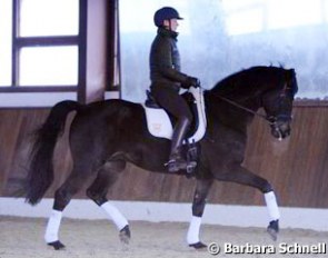 Anabel Balkenhol on Highlander, one of her new horses