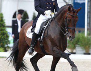 Ignacio Rambla returns to the international arena with the very talented Iberian bred Fogonero. The horse has much scope in front and super talent for piaffe and passage but often had his mouth wide open