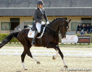Jordi Domingo and Prestige at their last international show, the 2012 CDIO Saumur in France