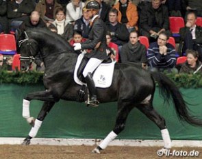 Edward Gal and Jack Sparrow at a stallion show in Vechta, Germany, February 2012 :: Photo © LL-foto.de