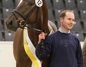 Don Frederic at the Hanoverian Stallion Licensing :: Photo © LL-foto.de