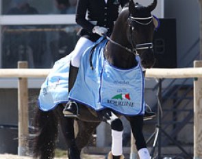 Bernadette Brune and the Oldenburg Di Magic (by Dimaggio) won the 5-year old division at the 2012 CDI Vidauban :: Photo © Astrid Appels