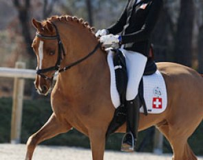 Swiss pony rider Anastasia Huet on Bovey Good Life