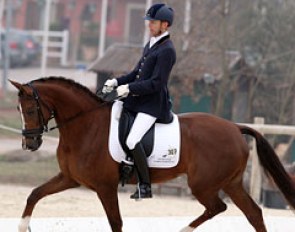Willem Jan Schotte on the 5-year old Dutch warmblood Citho (by Johnson)