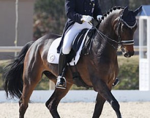 Pierre Subileau and Talitie at the 2012 CDI Vidauban :: Photo © Astrid Appels
