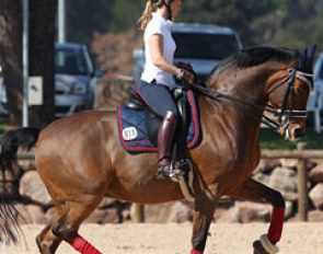 Italian Valentina Truppa also brought her top horse Eremo del Castegno (by Rohdiamant) to the South of France for some schooling