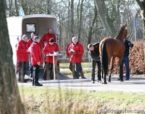 Twenty-two stallions started the 2012 Danish 10-Day Stallion Performance Test :: Photo © Ridehesten.com