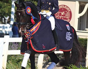 Lisa Wilcox and Pikko del Cerro HU win 2012 U.S. Developing Grand Prix Horse Championship :: Photo © Phelpsphotos.com