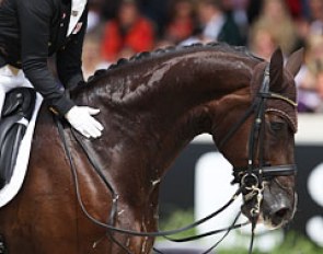 Anna Kasprzak pats Donnperignon at the end of her ride at the 2013 CDIO Aachen :: Photo © Astrid Appels