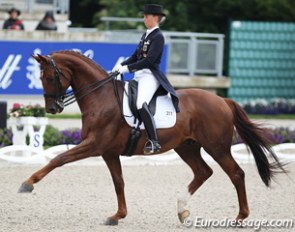 Fabienne Lutkemeier and D'Agostino will replace Balkenhol on the German team at the 2013 European Dressage Championships :: Photo © Astrid Appels