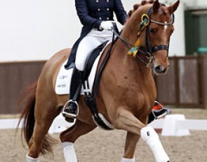 Cathrine Dufour and Atterupgaards Cassidy win big at the 2013 CDI Addington :: Photo © Risto Aaltonen