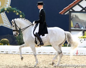 Danish Daniel Bachmann has recently been reunited with Silvia Rizzo's Danish mare Donna Silver (by Don Schufro x Willemoes) and gelled straight away