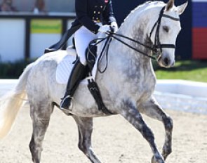 Austrian Stefanie Palm on the Oldenburg bred Royal Happiness (by Royal Diamond x Consul). Accuracy and meticulous riding made them climb up the ladder to a third spot in the Intermediaire I