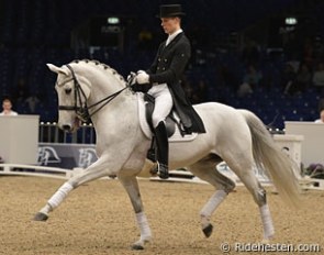 Daniel Bachmann and Donna Silver at the 2013 Danish Warmblood Stallion Licensing in Herning :: Photo © Ridehesten