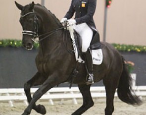 Stephanie Kooijman and Winston at the 2013 CDI Roosendaal Indoor :: Photo © Astrid Appels