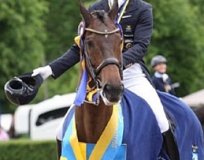 Patrik Kittel and Toy Story are victorious at the 2013 Swedish Dressage Championships :: Photo © Ridehesten.com